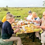 Safari Experience in Tanzania