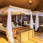 serengeti central lodge
