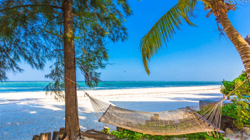 Tanzania safari and Zanzibar combo