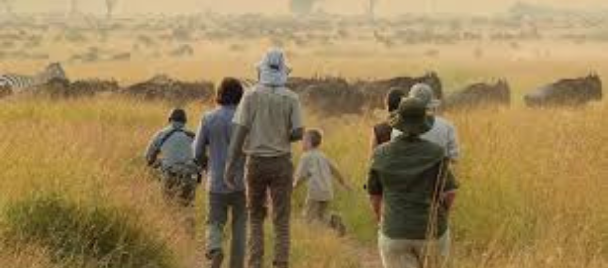 Serengeti walking safaris