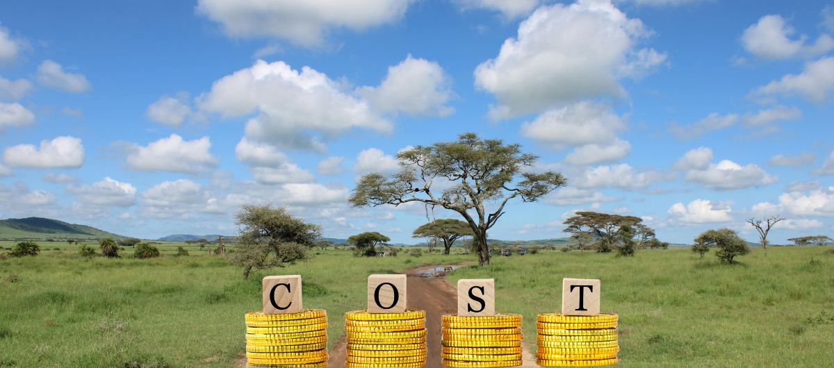 how much does a tanzania safari cost