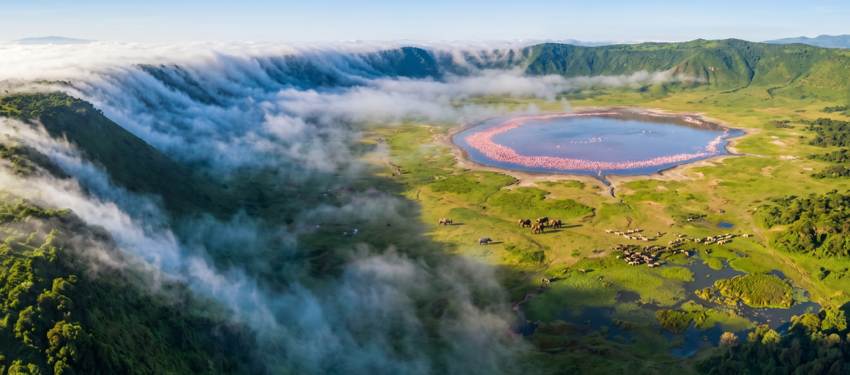 A breathtaking aerial drone view of the Ngorongoro Crater at dawn. A breathtaking aerial drone view of the Ngorongoro Crater at dawn.