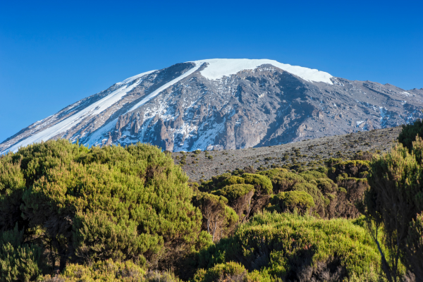 Kilimanjaro