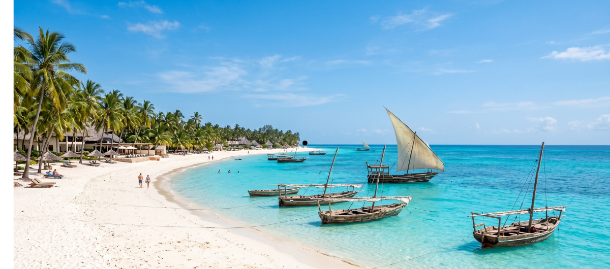 palm lined white sand beach in Zanzibar palm lined white sand beach in Zanzibar