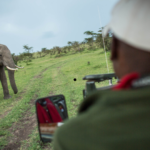 safari vehicle
