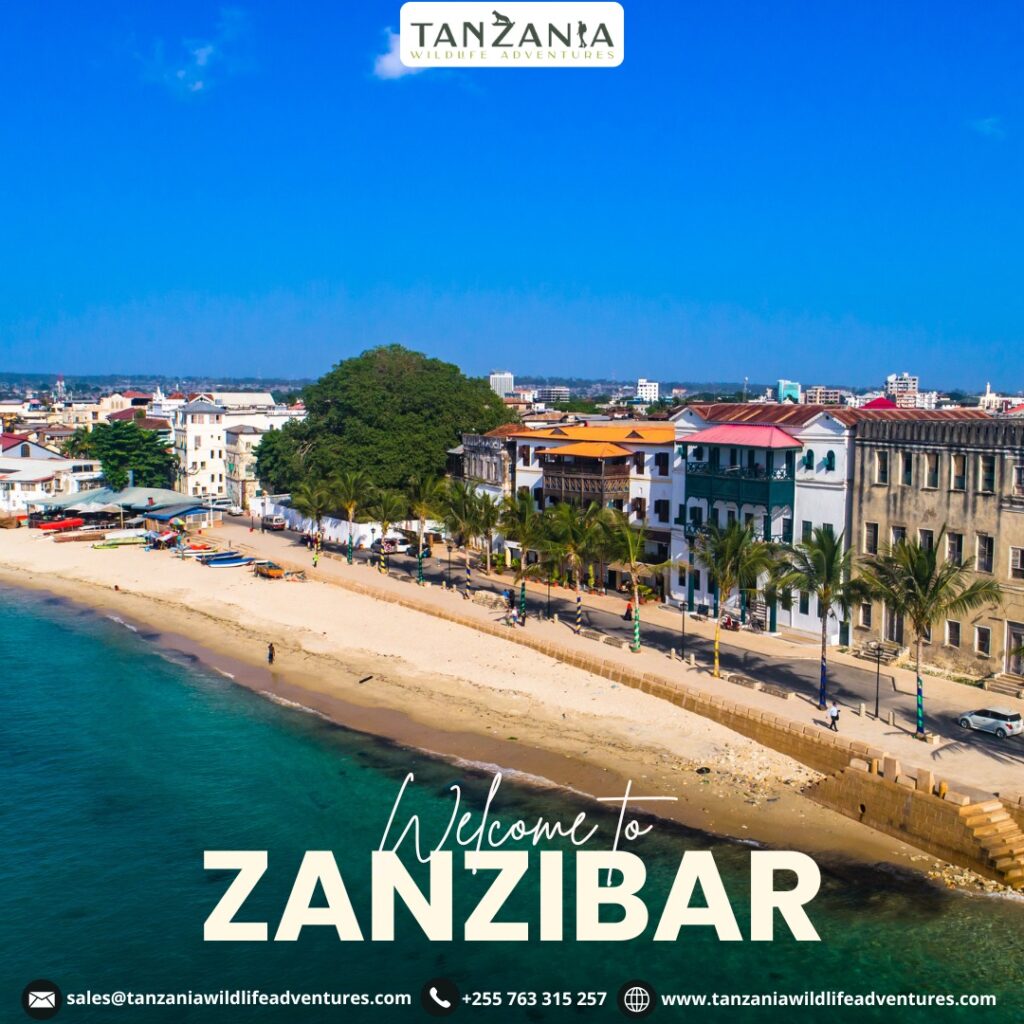 zanzibar