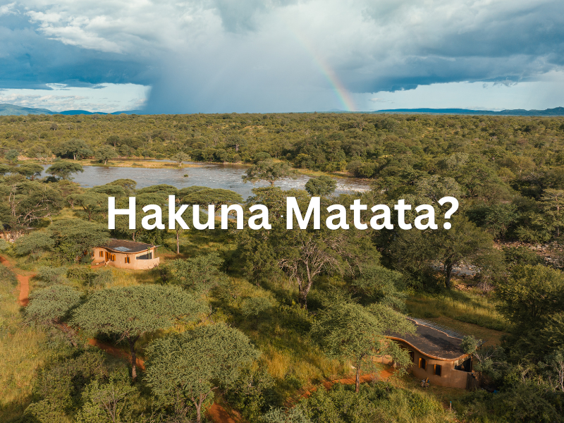Hakuna Matata Meaning The Essence of Tanzanian Adventure with Tanzania Wildlife
