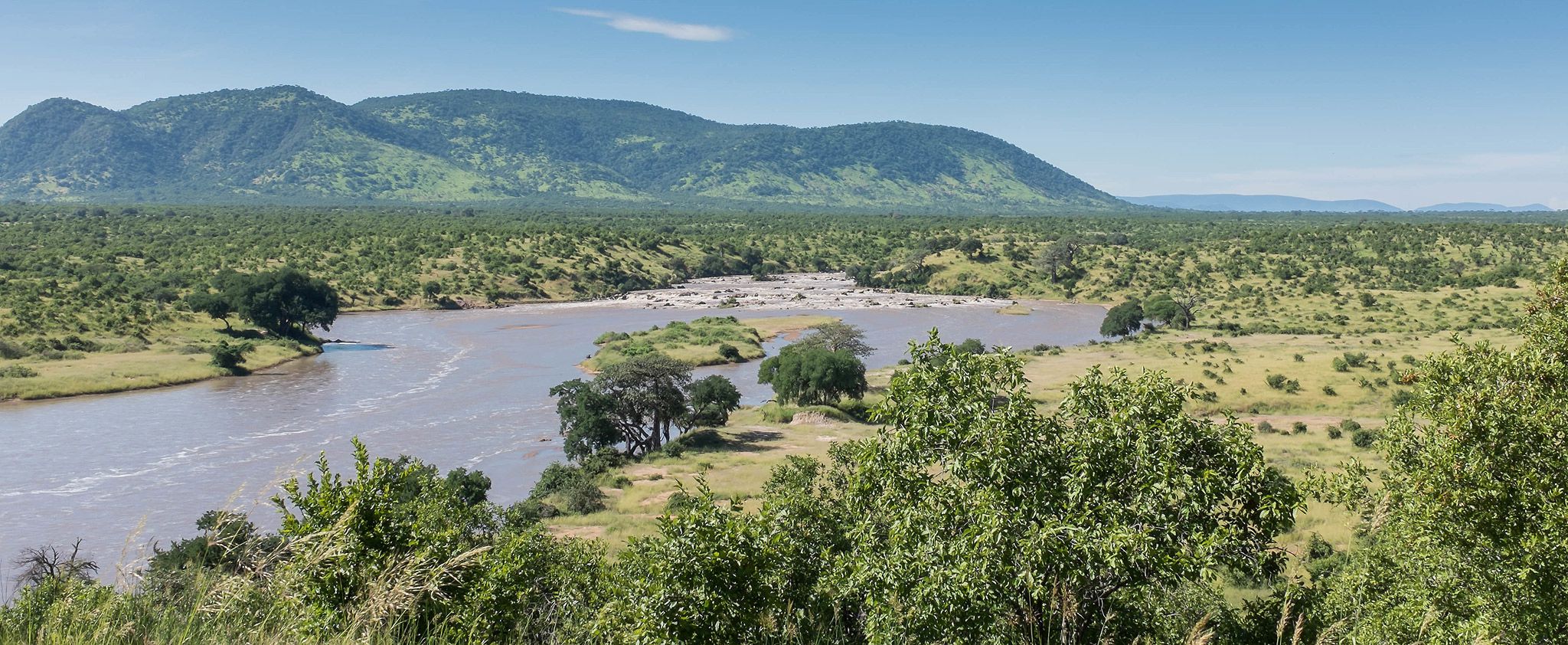 Ruaha National Park Great Ruaha River with wildlife