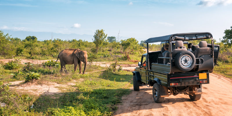 Tanzania safari vehicle in Serengeti National Park
